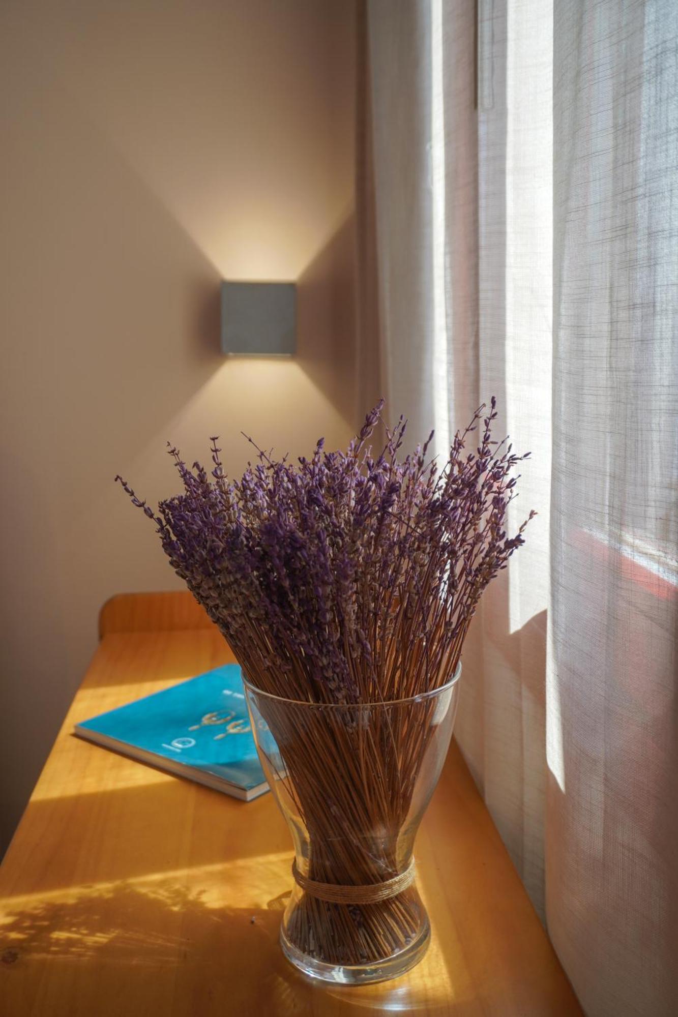 Apartment Arodou Studio And *